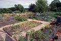 Allotments 9